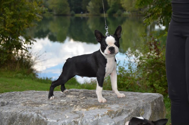 Itty love forever eddy Des Ch'tittes Bouilles