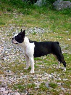 Gwen Des Ch'tittes Bouilles